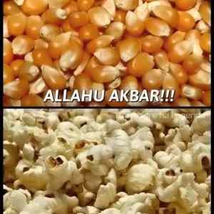 Obrázek 'so&nbsp;extreme&nbsp;540'