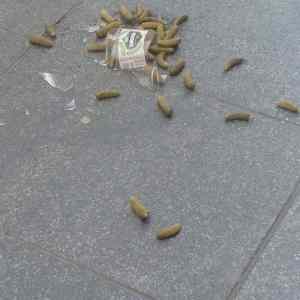 Obrázek 'so tragic'