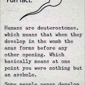 Obrázek 'some&nbsp;people'