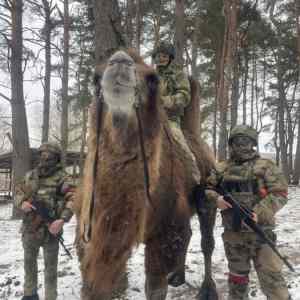 Obrázek 'special&nbsp;forces'