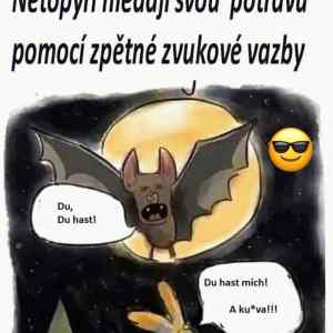 Obrázek 'spetna vazba'