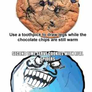 Obrázek 'spider cookies'