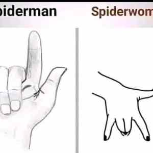 Obrázek 'spiderwoman'