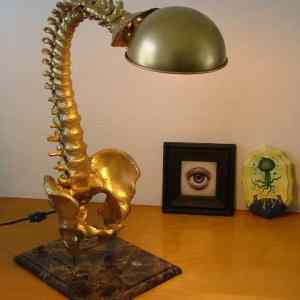 Obrázek 'spine lamp'