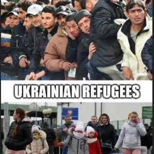 Obrázek 'spot&nbsp;the&nbsp;difference&nbsp;'