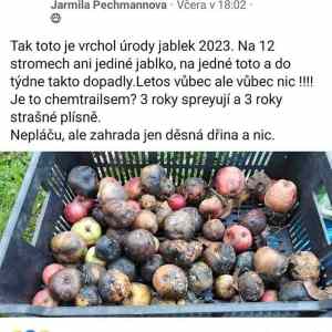 Obrázek 'sprejovani nepomohlo'