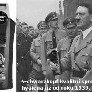 Obrázek 'sschwarzkopf'