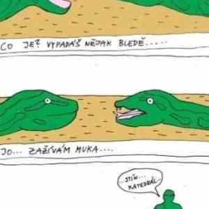 Obrázek 'ssssssssss'