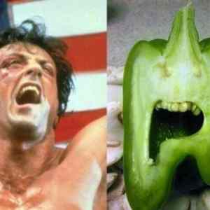 Obrázek 'stallone&nbsp;paprika'