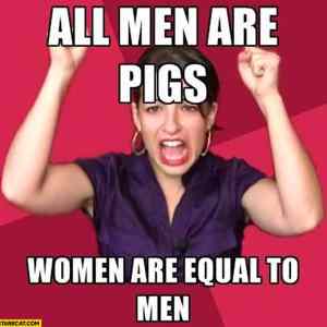Obrázek 'stare all-men-are-pigs-women-are-equal-to-men-feminist-meme'