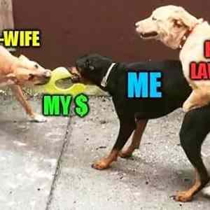 Obrázek 'stare my-ex-wife-my-money-me-her-lawyer-dogs-fighting'