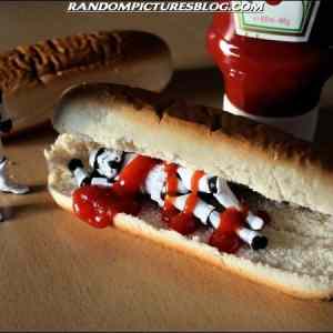 Obrázek 'starwars-dog'