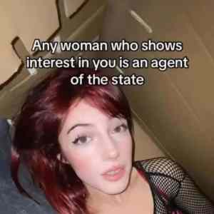 Obrázek 'statagent'