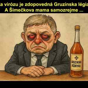 Obrázek 'statny prevrat'