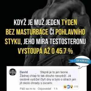 Obrázek 'stejne je to jen teorie'