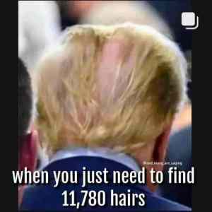 Obrázek 'stop&nbsp;the&nbsp;count'