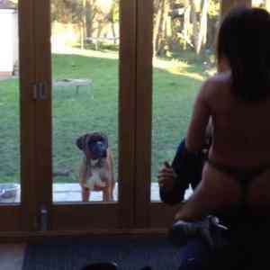 Obrázek 'stripper584'