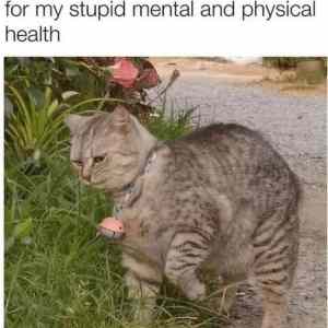 Obrázek 'stupid mental health'