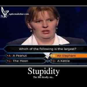 Obrázek 'stupidity10'