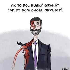 Obrázek 'sudruh idiot'