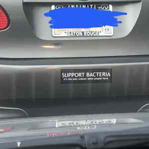 Obrázek 'support bacteria'
