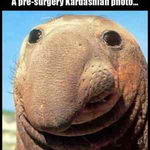 Obrázek 'surgery K-photo'
