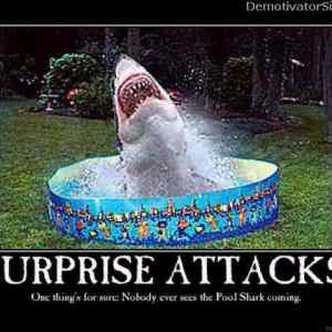 Obrázek 'surprise attacks'