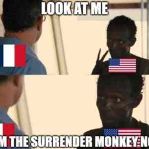 Obrázek 'surrender&nbsp;monkey'