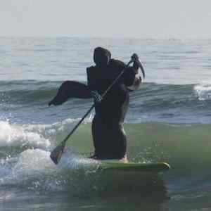 Obrázek 'swim reaper 2'