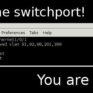 Obrázek 'switchport'