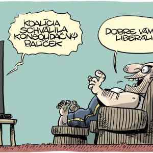 Obrázek 'tak vam treba liberali'