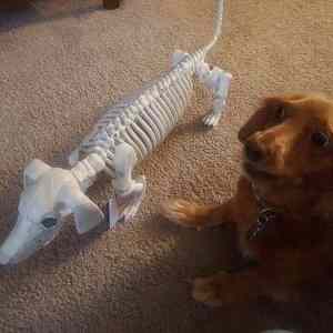 Obrázek 'takhle&nbsp;dopadnu&nbsp;&nbsp;'