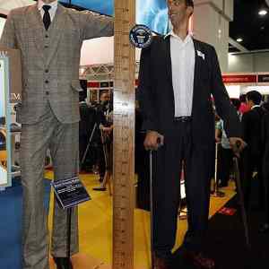 Obrázek 'tallest man in history'