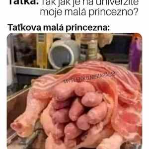 Obrázek 'tatkova mala princezna na univerzite'