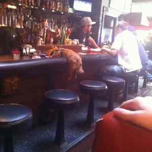 Obrázek 'ten&nbsp;ma&nbsp;dost&nbsp;'