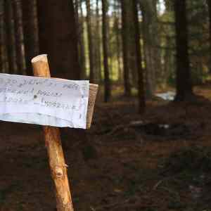 Obrázek 'ten razovity lid'