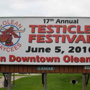 Obrázek 'testicle festival'