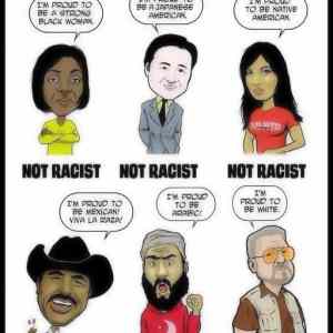 Obrázek 'the chart for determining racist in america 540'