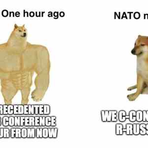 Obrázek 'the duality of NATO'