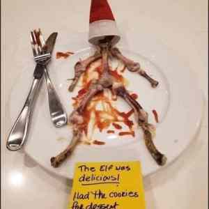 Obrázek 'the elf was delicious'