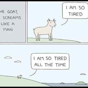 Obrázek 'the goat-screams'