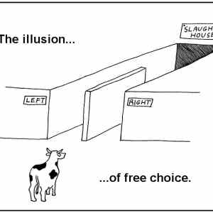 Obrázek 'the illusion'