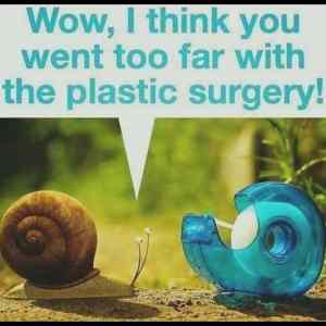 Obrázek 'the plastic surgery  n'
