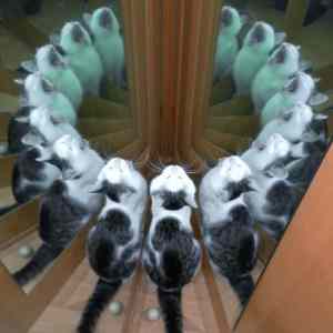 Obrázek 'the ritual is complete'