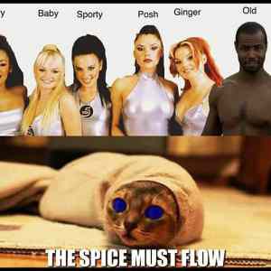 Obrázek 'the spice must flow'