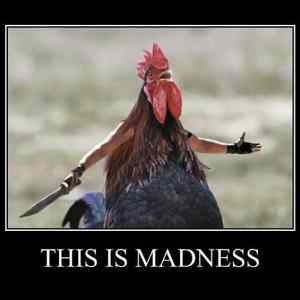 Obrázek 'this is madness  '