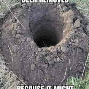 Obrázek 'this post has been removed'