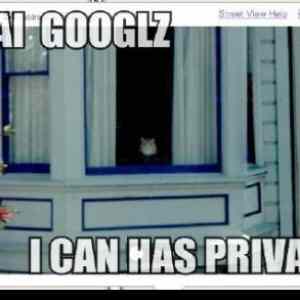 Obrázek 'thumb Google Street View Cat'