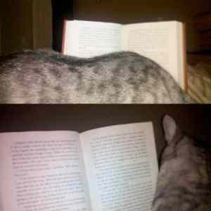 Obrázek 'thumb Why I Can t Read Books'