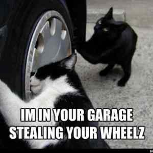 Obrázek 'thumb wheels'